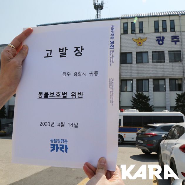 동물권행동 카라가 개 학대자에 대한 고발장을 경기도 광주 경찰서에 접수했다.
