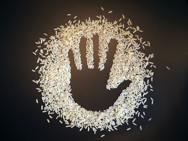 rice, palm, helping hand, humanitarian aid