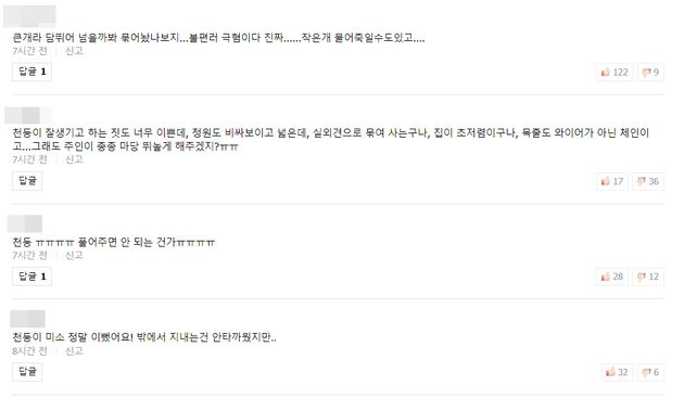 관련 방송 영상에 달린 네티즌 댓글