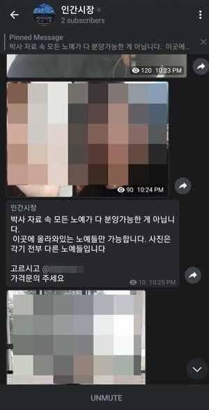  연설아 박사방 노예 