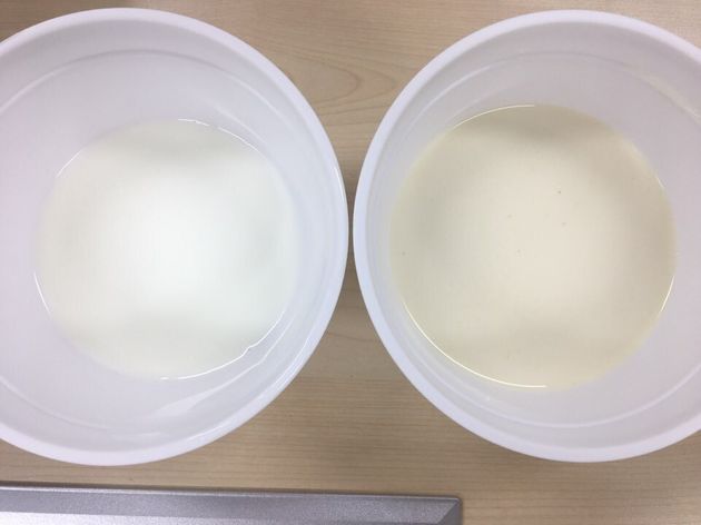 왼쪽이 그냥 우유, 오른쪽이 첵스 파맛이 우러나온 우유.