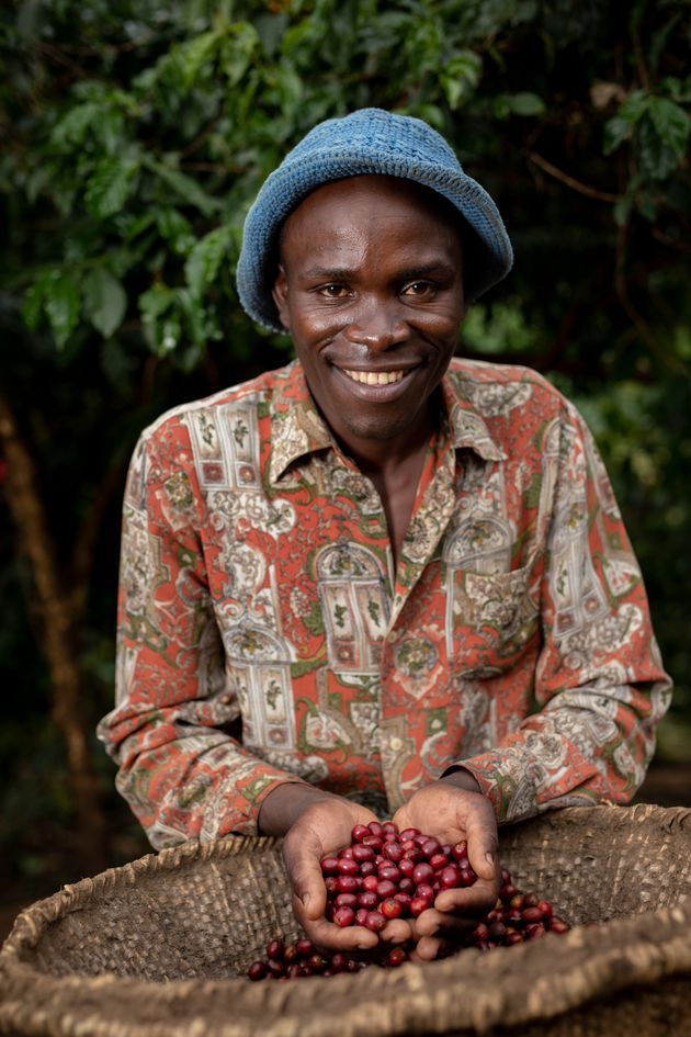 르웬조리 산지의 커피 농부 조셉 키립응와(Joseph Kiribmwa), 그는 붉게 익은 커피 체리만 선별해 고른다.