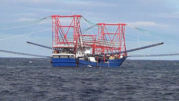 오징어 유인용 조명을 설치한 중국 오징어잡이 어선