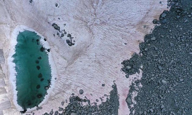 이탈리아 북부 알프스의 프레세나 빙하에 쌓인 눈이 최근 분홍색으로 변해 있다 