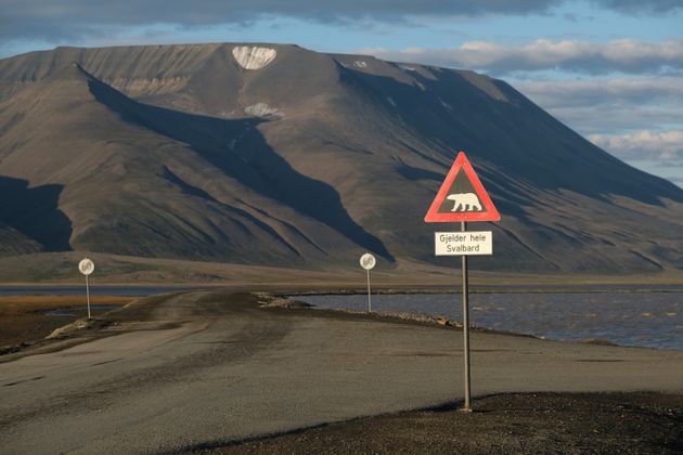 7월 29일 노르웨이 롱이어비엔 인근 스발바르 군도에 여름 폭염으로 눈이 거의 내리지 않은 산이 도로와 북극곰 경고 표지판 뒤로 보인다.