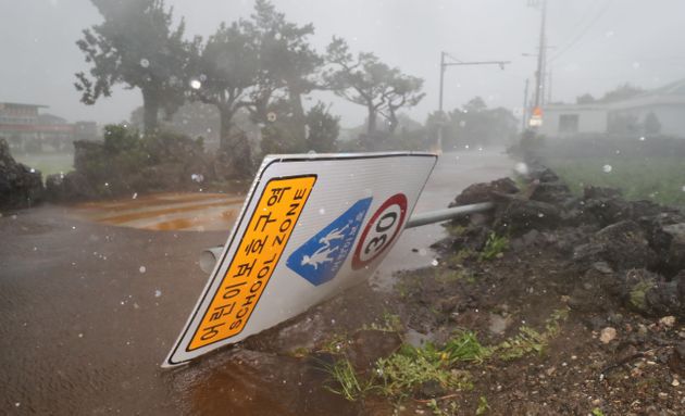 제9호 태풍 '마이삭'이 북상한 2일 오후 제주 구좌읍 한 어린이보호구역 표지판이 강풍에 의해 넘어져 있다. 