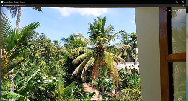 인도 트리반드룸에 사는 아눕 산카르의 창문.
