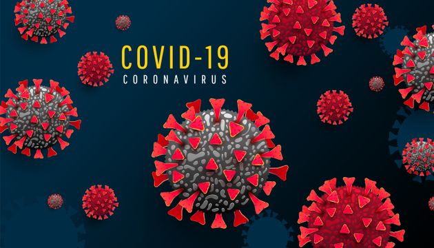 코로나19 바이러스 구조도, 자료 사진. 