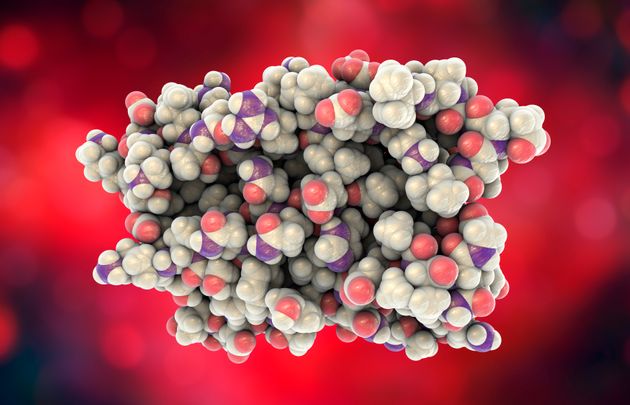 인터페론 분자 모델: 백혈구에 의해 생성되며 바이러스 감염에 대한 선천적인 면역 반응에 관여하는 단백질이다.