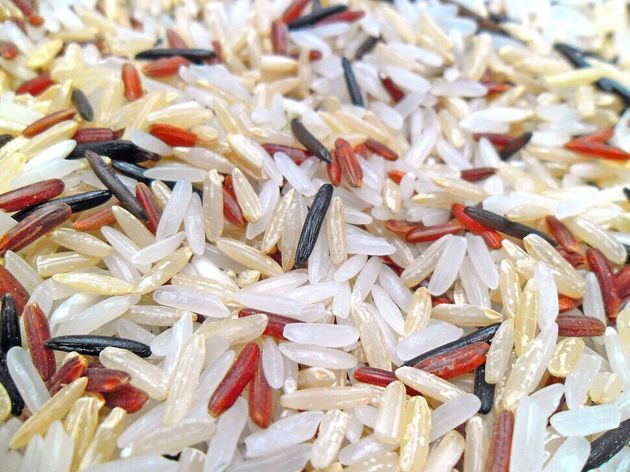 야생종을 포함한 다양한 품종의 단미 종(인디카) 쌀.