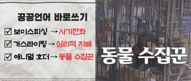 연합뉴스TV 유튜브 '[맛있는 우리말] 8회 : 공공언어 바로쓰기' 편에 소개된 '동물 수집꾼'