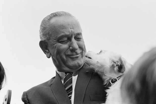 1967년 9월 존슨 대동령은 백악관 남쪽 잔디밭에서 자신의 애완견 유키를 소개했다.