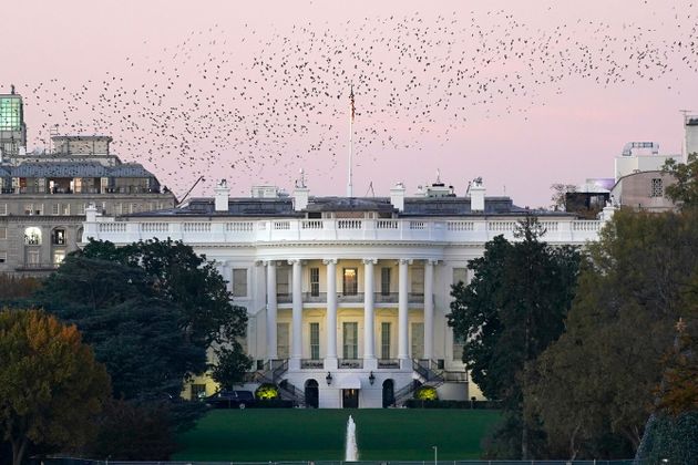 도널드 트럼프 미국 대통령은 대선 결과를 아직 승복하지 않고 있다. 사진은 백악관 전경. 2020년 11월7일. 