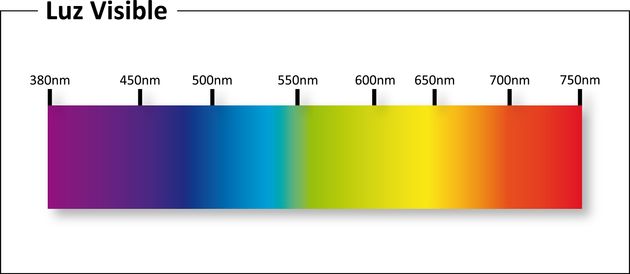 블루라이트가 우리 몸에 미치는 영향과 위험성에 대한 오해와 진실 (연구결과)