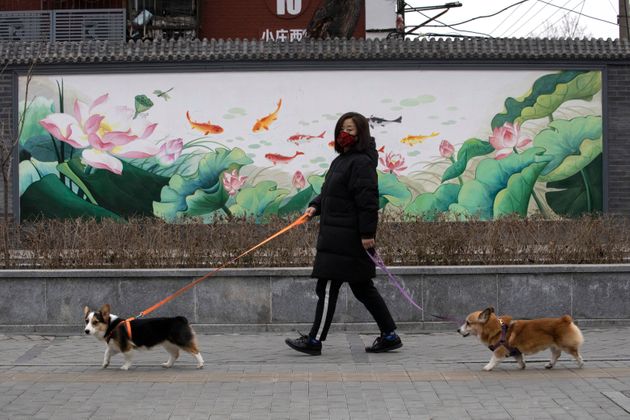 2020년 2월 25일 중국 베이징에서 마스크를 쓴 한 주민이 개를 산책시키고 있다.