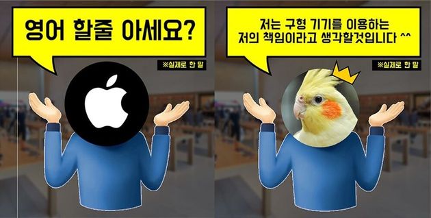 한 구형 맥북 이용자가 수리 과정에서 한국 애플스토어에서 겪은 경험담이 네티즌 공분을 사고 있다