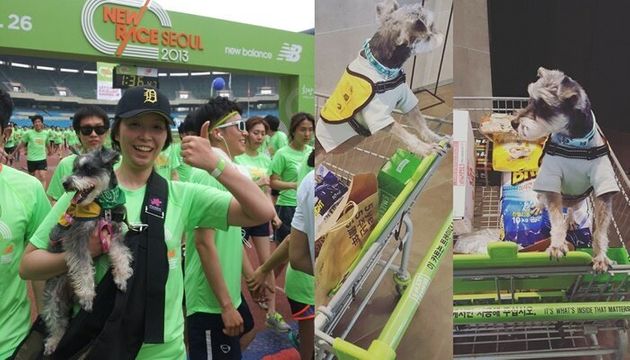 자신을 '럭키맘'이라고 표현한 소라씨가 럭키와 함께 찍은 과거 사진(왼쪽), 럭키.