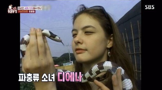 '파충류 소녀'로 인기를 끌었던 김디에나의 2000년 초반 방송 