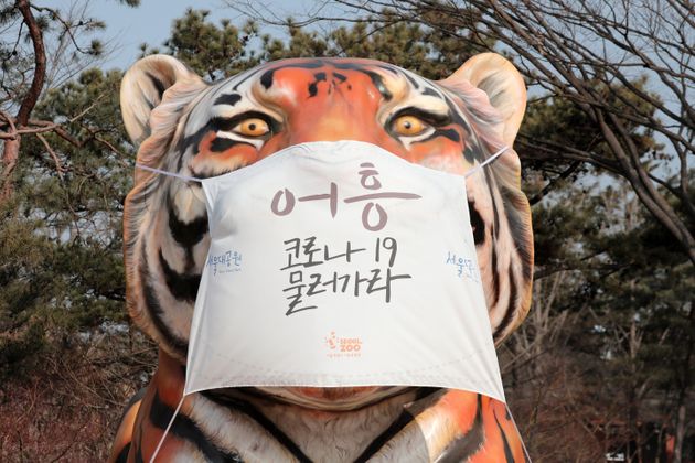 4일 오전 경기도 과천시 서울대공원 동물원에서 호랑이 조형물에 마스크가 설치돼 있다. 2021.1.4