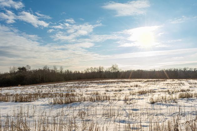 대체 왜 우리는 하늘을 바라보며 행복을 느끼는 걸까? 전문가의 말을 들어 보았다  (사진)
