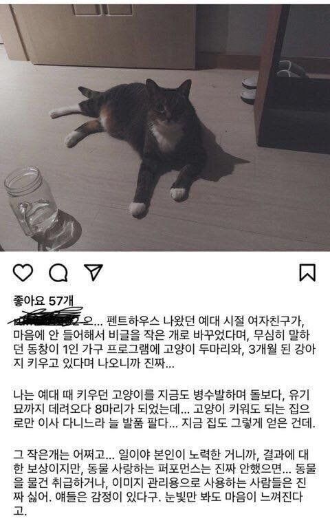 배우 박은석이 반려견 유기 논란에 휩싸였다