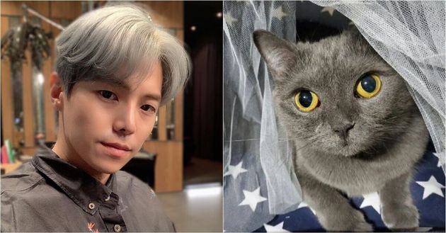 배우 박은석(좌)과 그가 키우던 고양이
