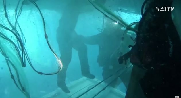 중앙특수구조단과 포항해경 구조대원들이 21일 경주 감포 동방 42km 해상에서 뒤집힌 어선 어창에서 생존 선원을 구조하고 있다. (포항해양경찰서제공)2021.2.22