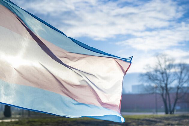 트랜스젠더 인권과 평등을 상징하는 깃발.