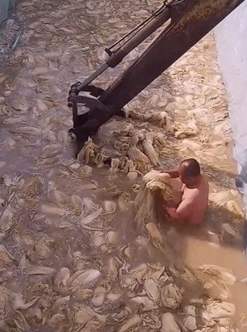 알몸의 중국 남성이 흙탕물 속에서 배추를 절이고 있다.