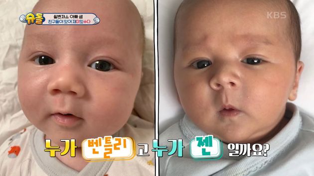 누가 벤틀리고, 누가 젠일까요?