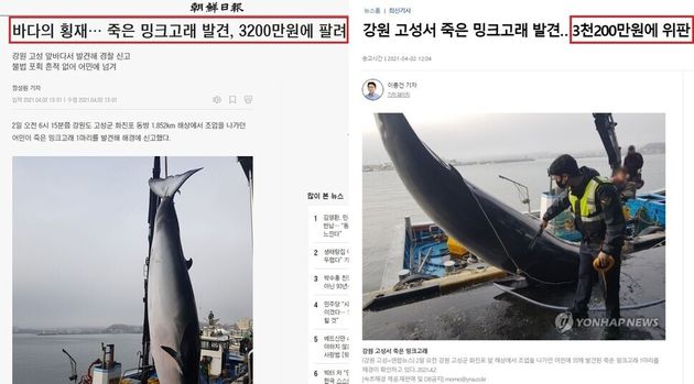 지난 4월2일 강원도 고성에서 발견된 밍크고래 사체 처리와 관련한 언론보도의 문제점을 지적하는 목소리가 나왔다.