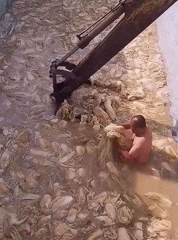 옷을 입지 않은 중국 남성이 흙탕물에서 배추를 절이고 있다. 