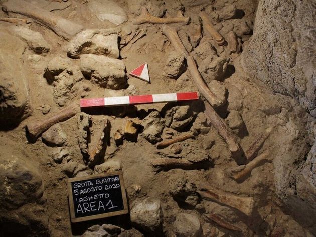 이탈리아 과타리동굴에서 발견된 네안데르탈인의 화석화된 유골.