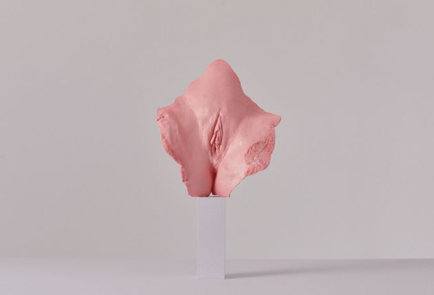 완벽한 여성 성기라는 게 존재할까? 여러 여성이 다양한 형태의 성기를 공개했다