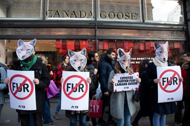코요테 마스크를 쓰고 런던 캐나다 구스 매장 앞에서 시위하는 사람들 (2019년 11월 29일)