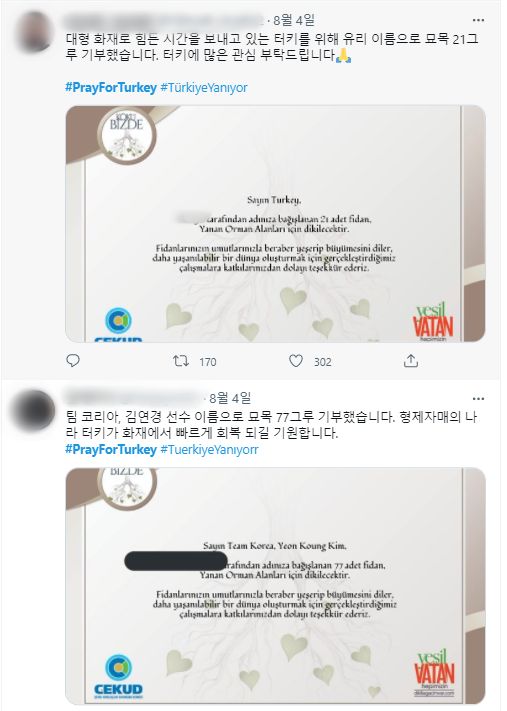 네티즌들이 #prayforturkey 해시태그를 사용해 김연경이나 팀 코리아의 이름으로 터키에 나무를 기증한 사실을 올린 트위터 게시물.