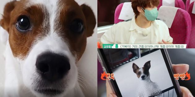 김희철-기복이&nbsp;