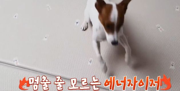 기복이&nbsp;