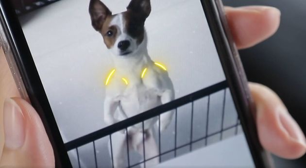 근육질 기복이&nbsp;