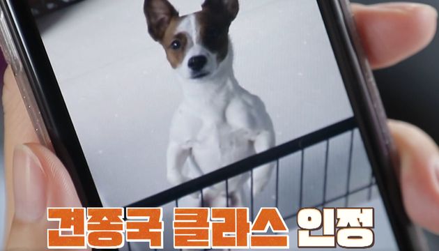 견종국 기복이&nbsp;