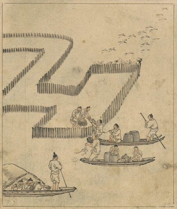 김홍도의 <고기잡이></div>(18세기 후반). 물고기 떼가 잘 드나드는 바다 한가운데에 대나무 발로 울타리를 치고 그 안에 갇힌 물고기를 잡는 모습을 그렸다.