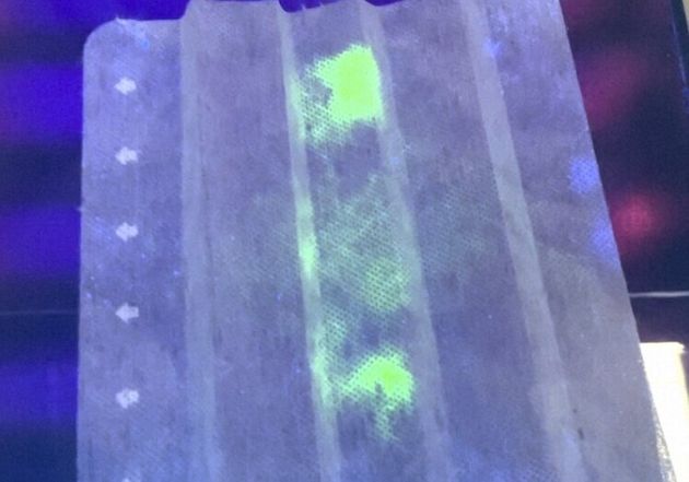 형광 염료가 칠해진 마스크 필터에 닿은 코로나 바이러스가 자외선 아래서 빛나고 있다.