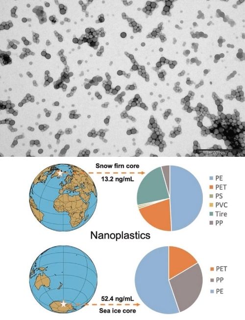 나노플라스틱 입자 / 북극과 남극 빙하코어에서 발견된 나노플라스틱 입자 양과 형태
