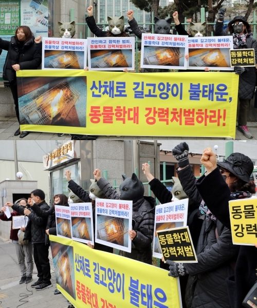 지난 14일 한국보호연합 등 동물단체 회원들이 서울시 마포 경찰서 앞에서 '산 채로 길고양이 불태운 동물학대 강력 처벌 촉구 및 고발장 접수' 기자회견을 열었다.