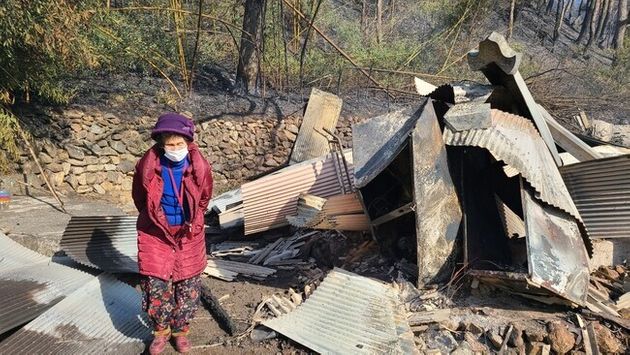 5일 오전 10시께 경북 울진군 검성리 마을주민 이홍자(87)씨가 화재로 내려앉은 자신의 집을 둘러본 후 황망한 마음으로 발길을 돌리고 있다. 박지영 기자