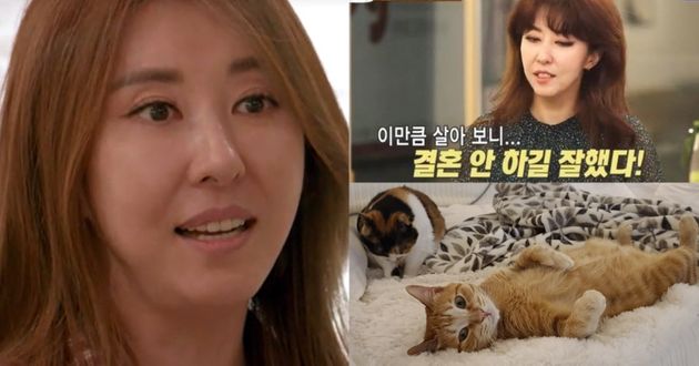 김완선 / 김완선이 키우는 고양이들&nbsp;