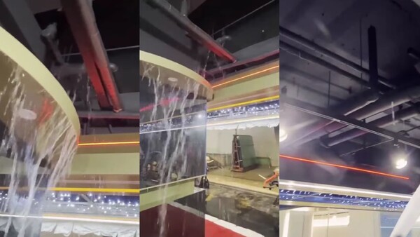 영상 캡처 화면 ⓒ 황철순 인스타그램