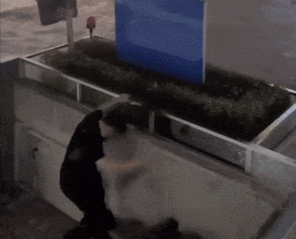 &nbsp;폭우 속 평화로운 청남빌딩 영상 ⓒ온라인 커뮤니티