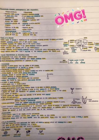 김희선 딸 연아의 필기 노트. 출처 : 인스타그램