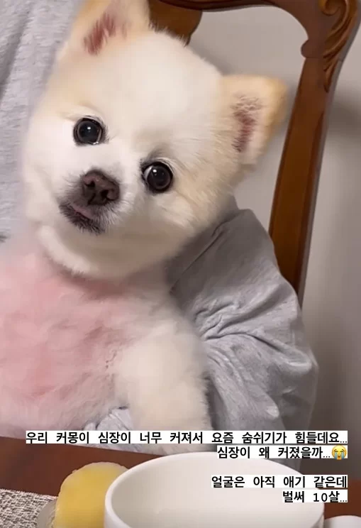 출처: 선예 인스타그램.